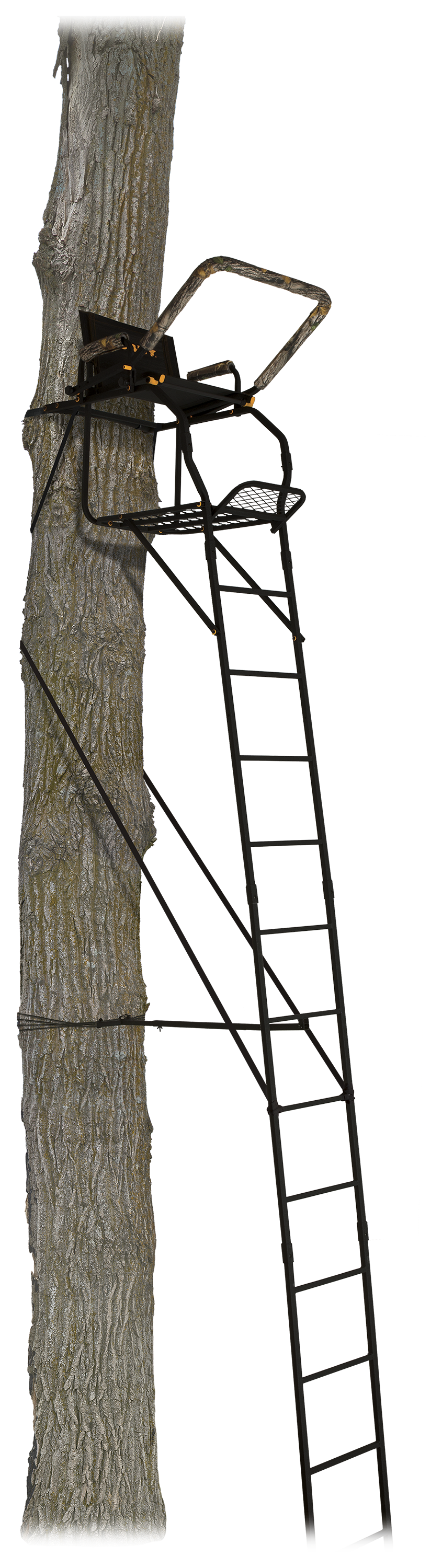 Muddy The Huntsman 17' Ladder Stand Bass Pro Shops